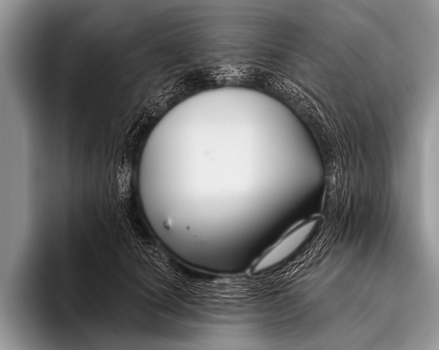 X0000096190660200802081521