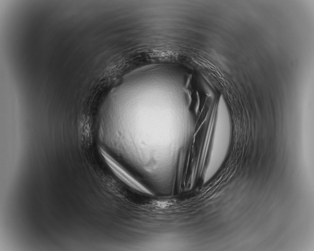 X0000096190662200802081521