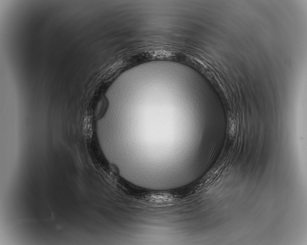 X0000096190666200802081521