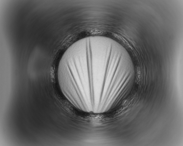 X0000096190667200802081521