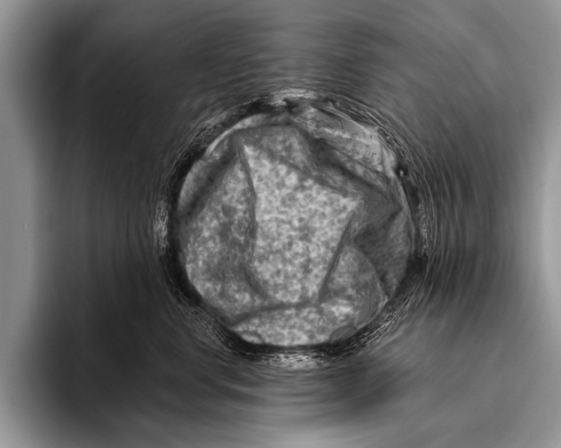 X0000096190668200802081521