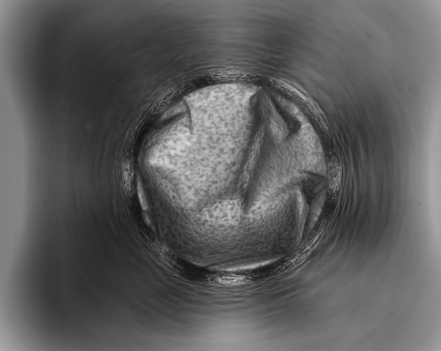 X0000096190669200802081521