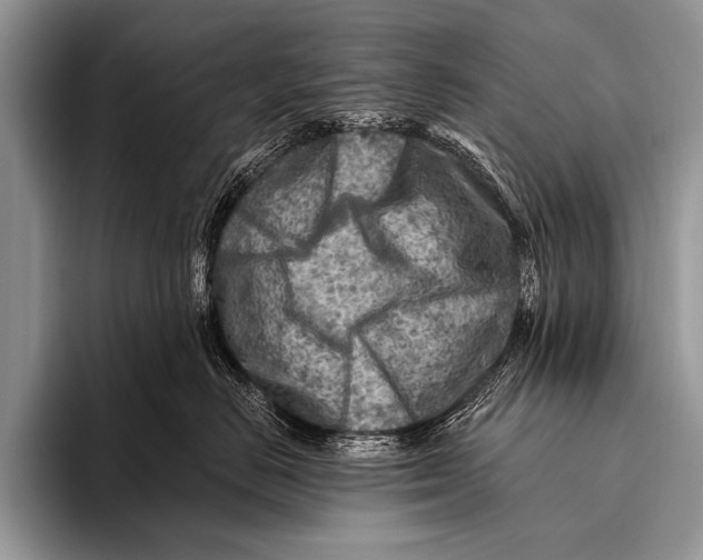 X0000096190670200802081521