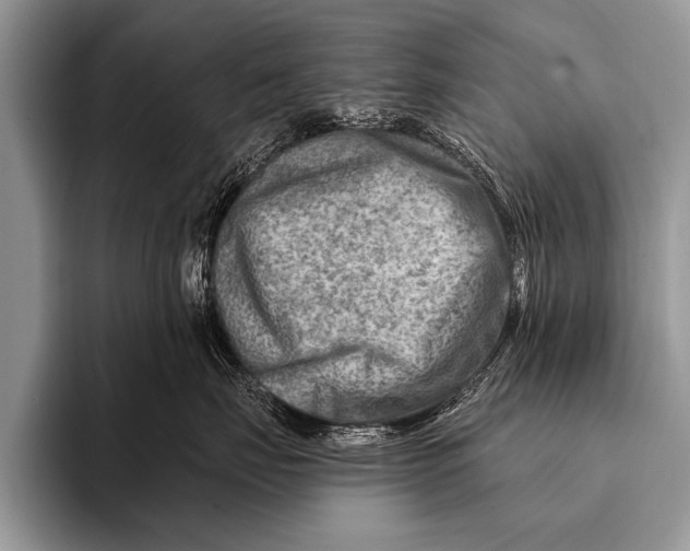 X0000096190671200802081521