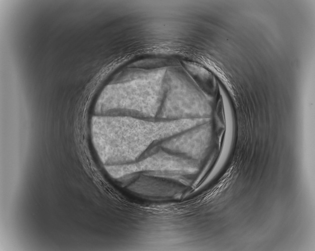 X0000096190673200802081520