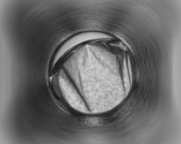 X0000096190677200802081520