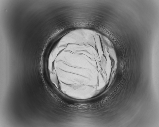 X0000096190678200802081520