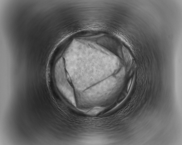 X0000096190680200802081520