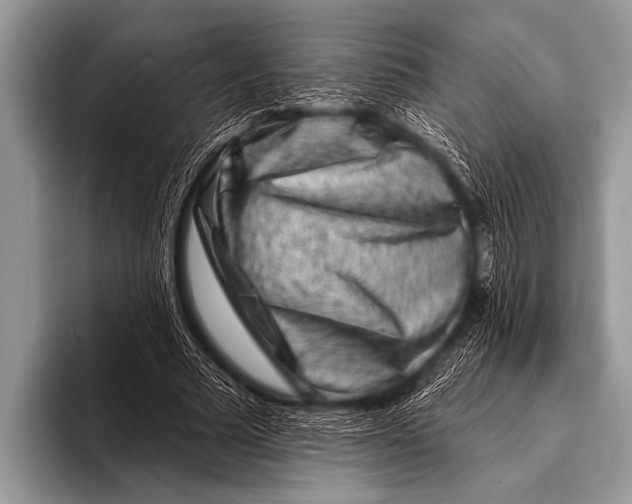 X0000096190681200802081520