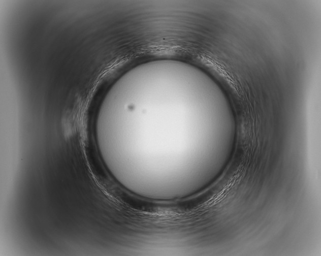 X0000096190682200802081520