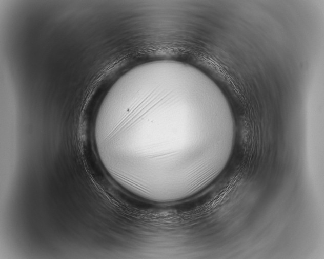 X0000096190683200802081520