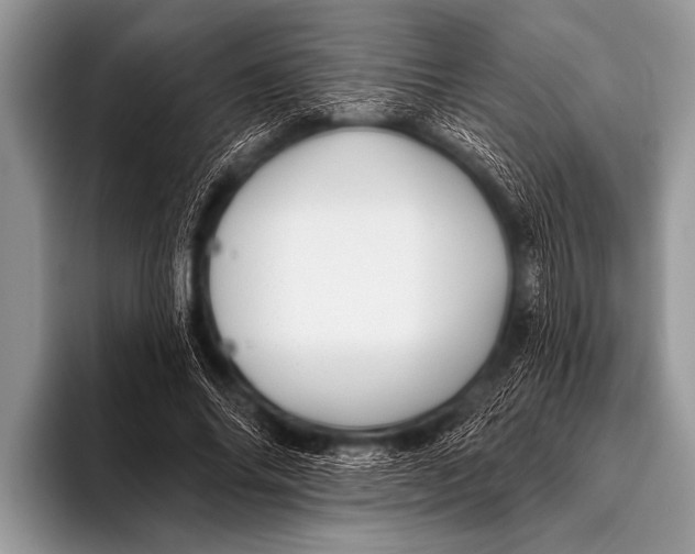 X0000096190686200802081520