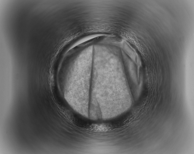 X0000096190688200802081520