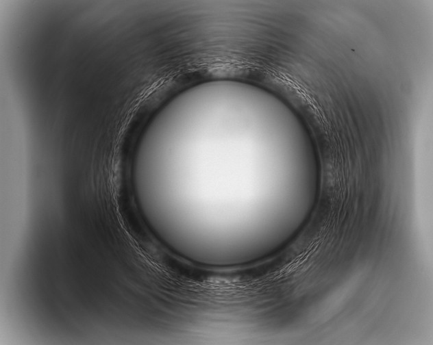 X0000096190690200802081520