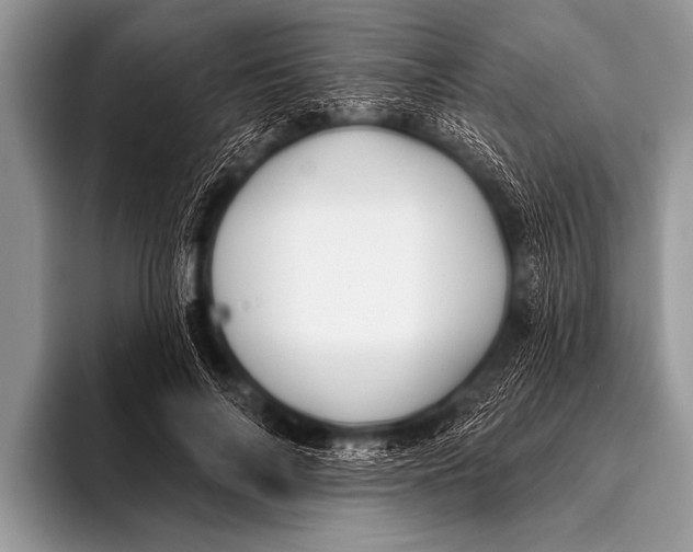 X0000096190694200802081520