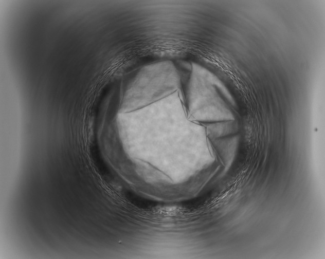 X0000096190695200802081520