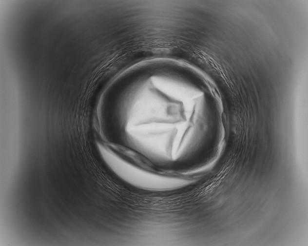 X0000096190697200802081520