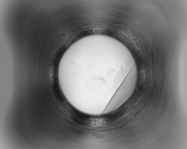 X0000096190698200802081520