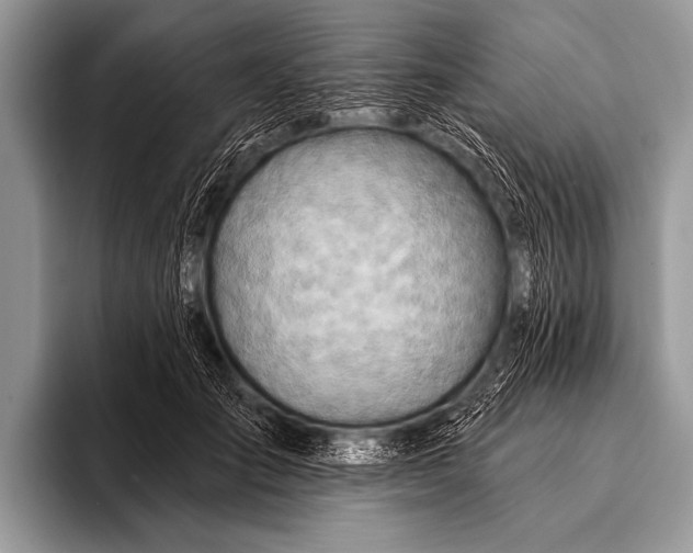 X0000096190701200802081520