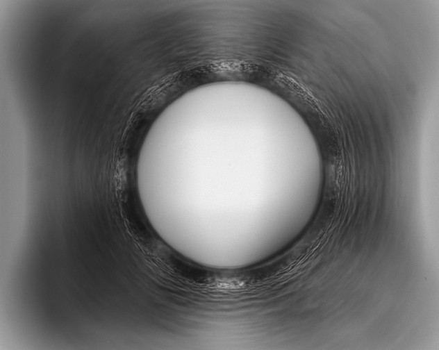 X0000096190702200802081520