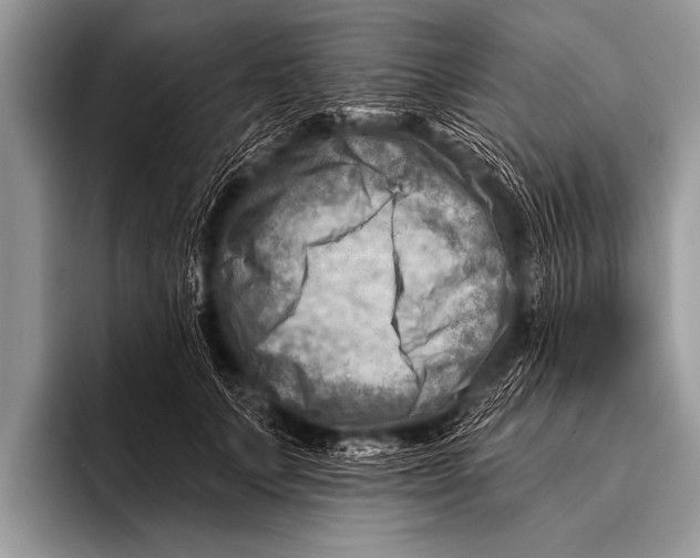 X0000096190703200802081520