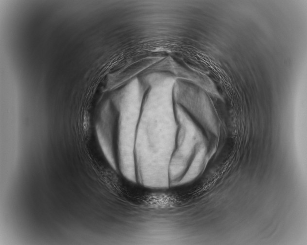 X0000096190704200802081520