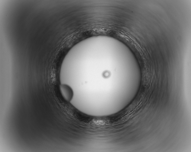 X0000096190706200802081520