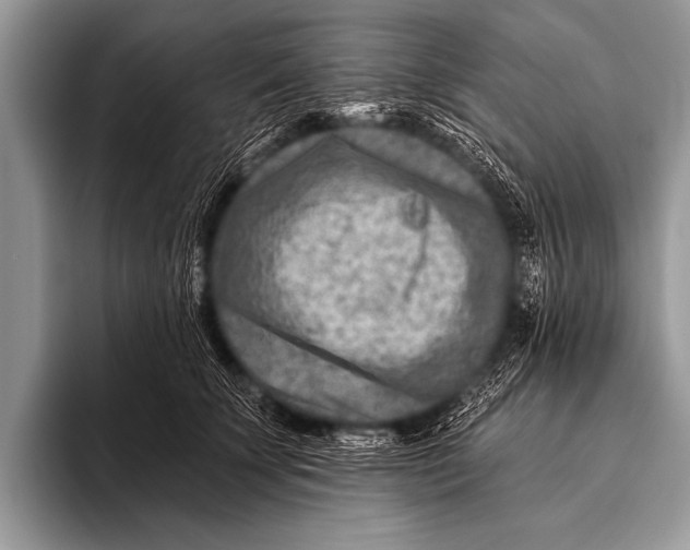 X0000096190707200802081520