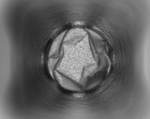 X0000096190708200802081520