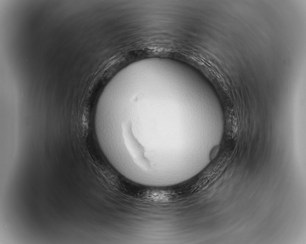 X0000096190710200802081520