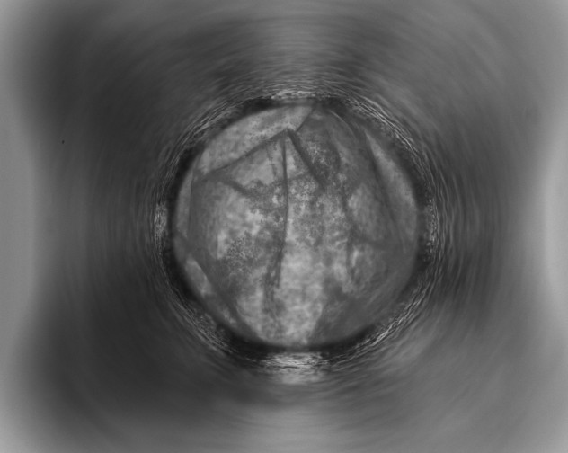 X0000096190711200802081520