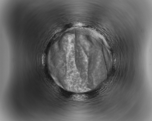 X0000096190712200802081520