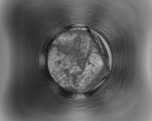 X0000096190715200802081520