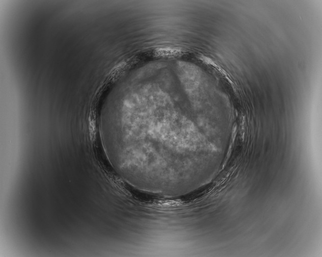 X0000096190716200802081520