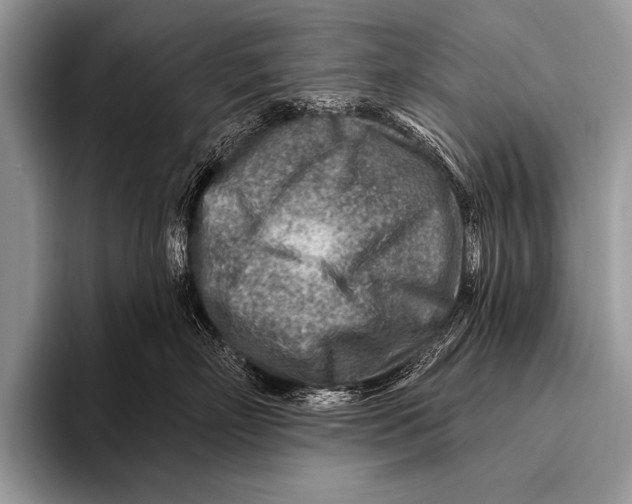 X0000096190718200802081520