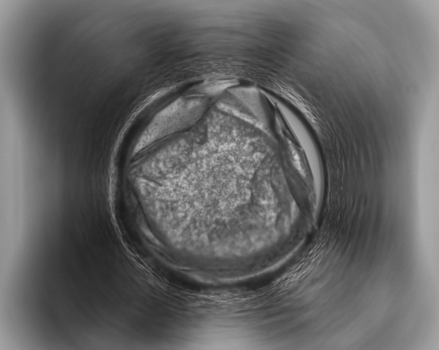 X0000096190724200802081519