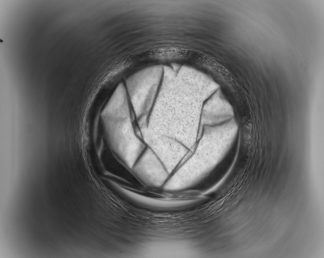 X0000096190727200802081519