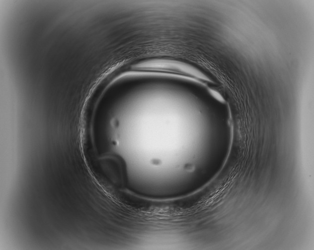 X0000096190728200802081519