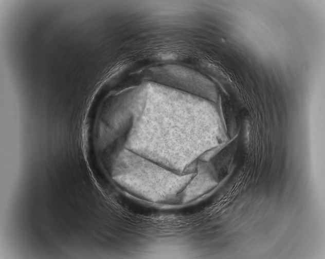 X0000096190730200802081519