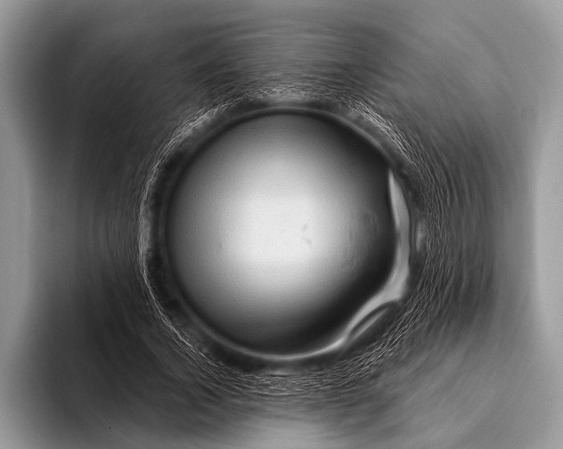 X0000096190732200802081519