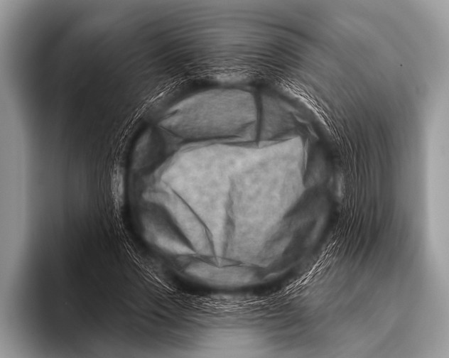 X0000096190733200802081519