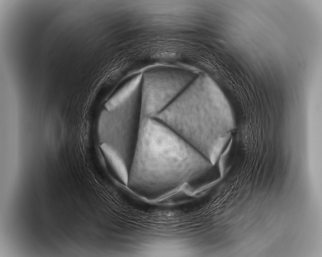 X0000096190735200802081519