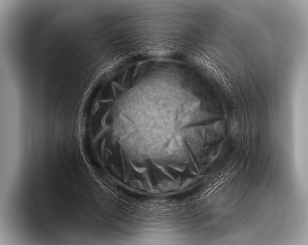 X0000096190736200802081519