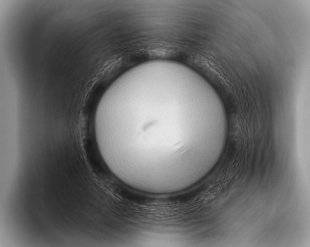 X0000096190738200802081519