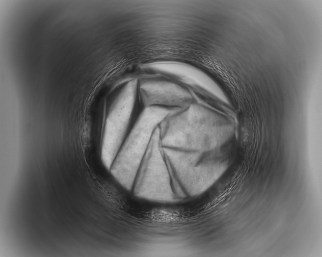 X0000096190739200802081519