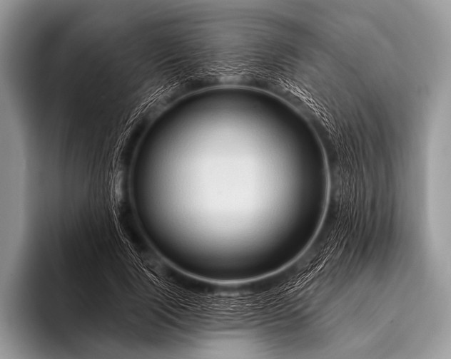 X0000096190740200802081519