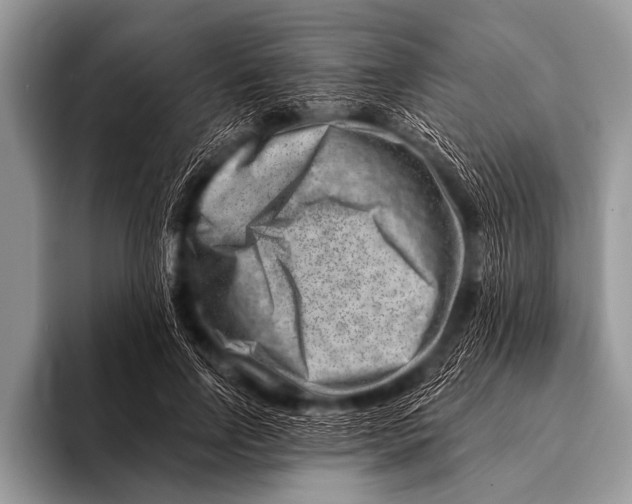 X0000096190742200802081519