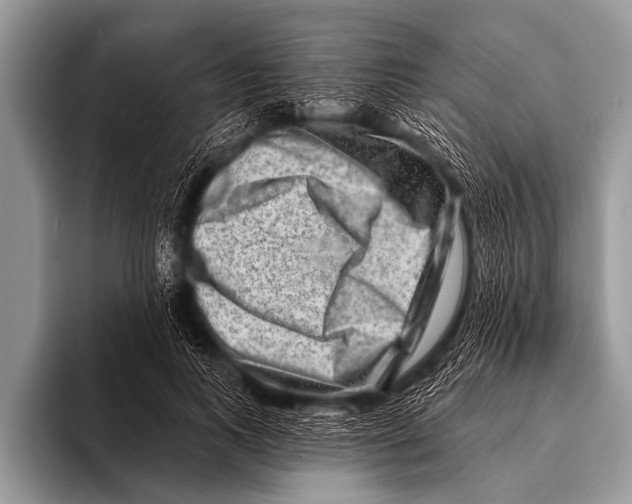 X0000096190743200802081519