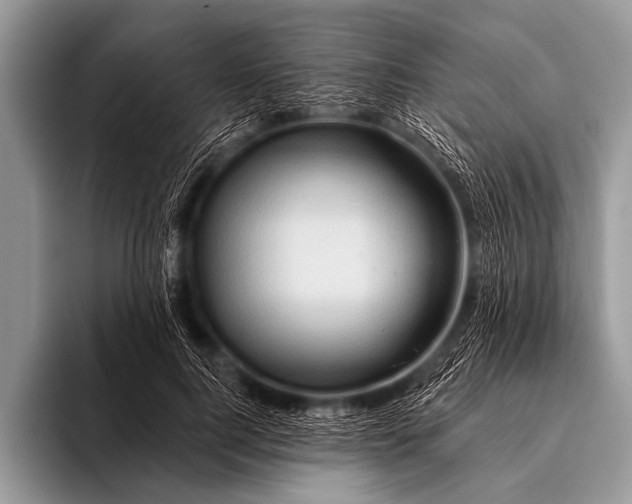 X0000096190744200802081519