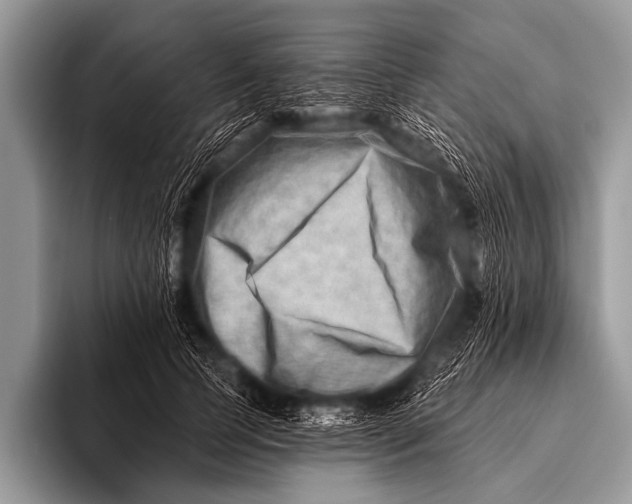 X0000096190745200802081519